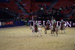Quadrille - 00159